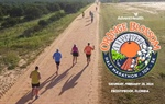 AdventHealth Orange Blossom Half Marathon-10K-5K